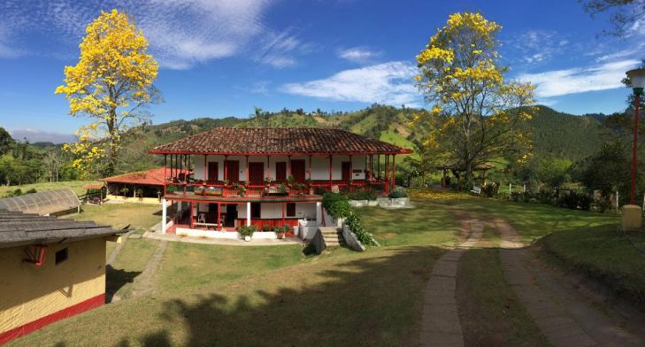 Coffee tour, Finca el Ocaso - Salento 5